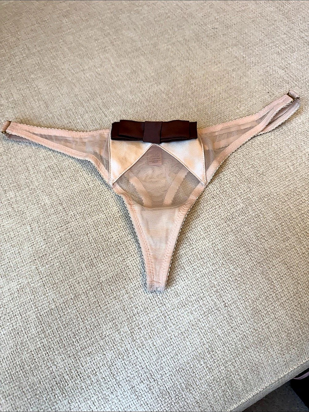 Agent Provocateur Sheer Mesh Panty in Pink Size Medium